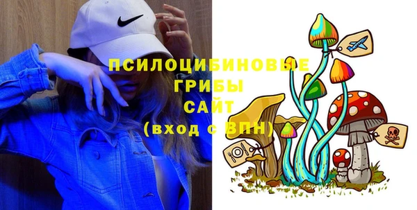 круглые Инсар