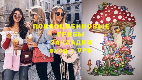 дживик Баксан