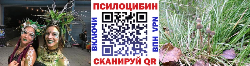 Псилоцибиновые грибы мицелий  Мончегорск 